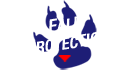 Fall Protection